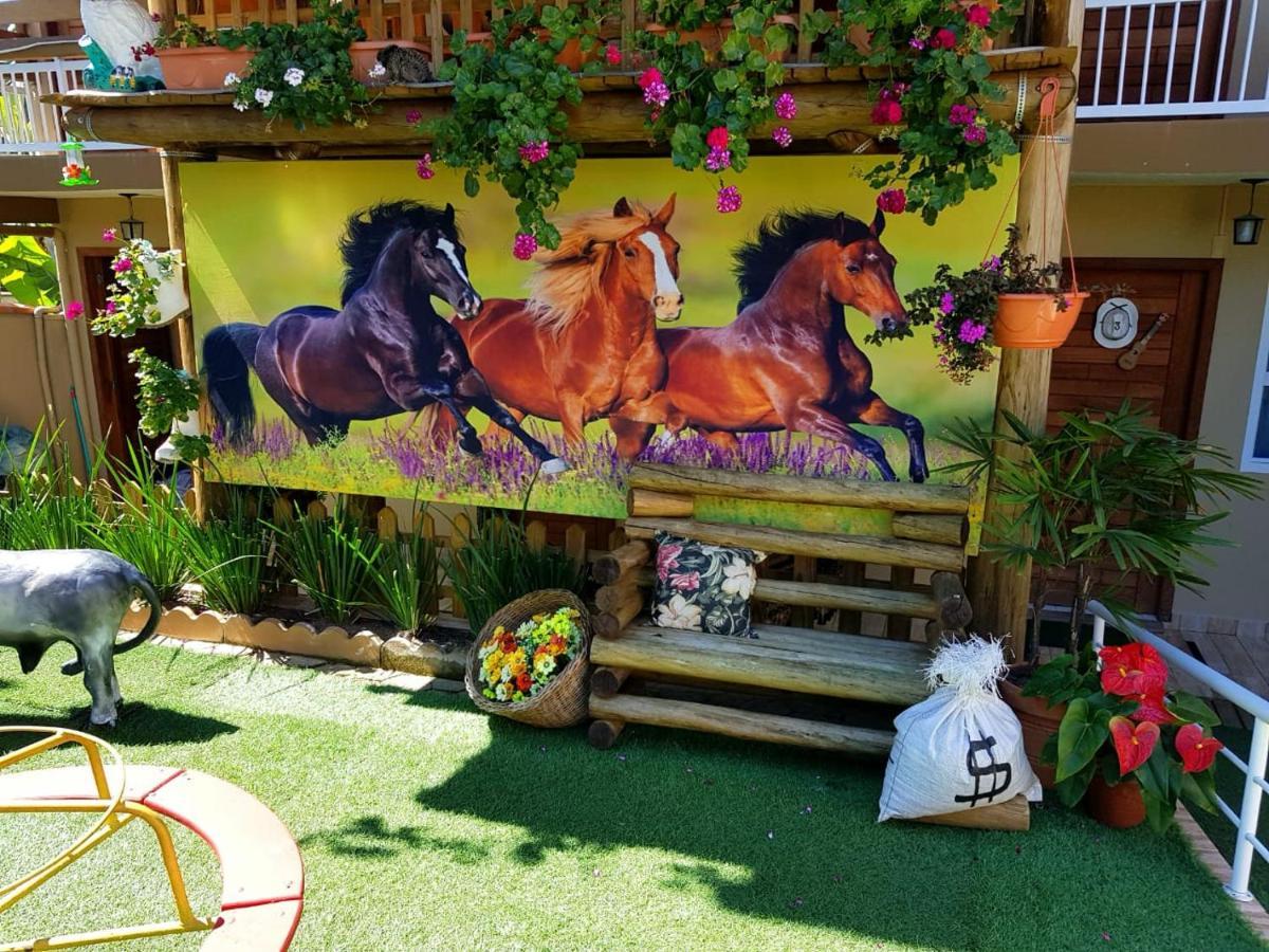 Pousada Alegria do Cowboy Penha (Santa Catarina) Exterior foto